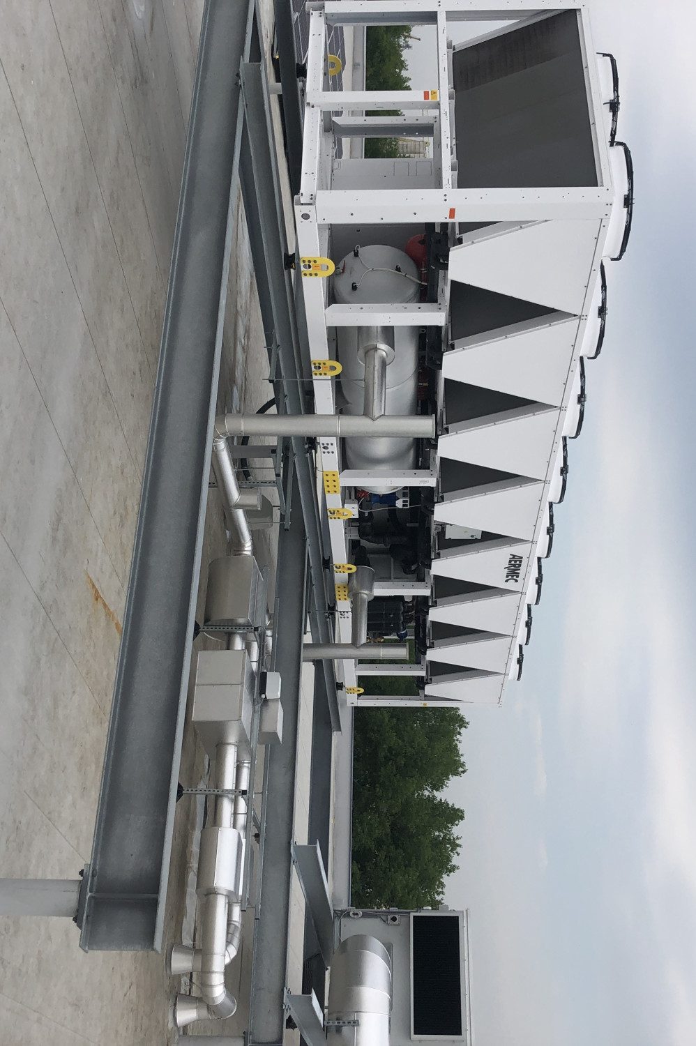 panattonimoerdijk[42]